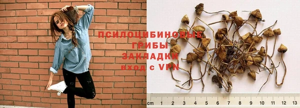 прущие крисы Армянск